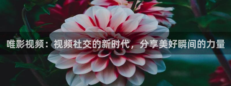 精东影业葫芦娃：唯影视频：视频社交的新时代，分享美好瞬间的力量