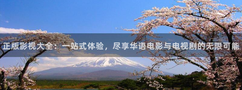 精东影业jd008苏小小：正版影视大全：一站式体验，尽享华语电影与电视剧的无限可能