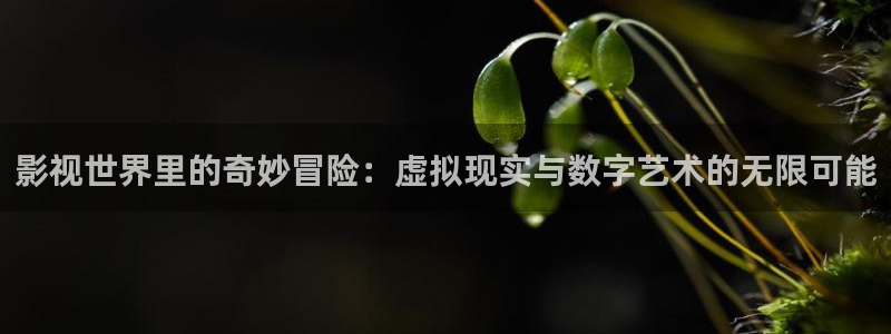 精东影业一区：影视世界里的奇妙冒险：虚拟现实与数字艺术的无限可能