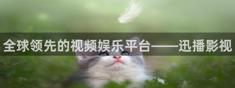亚洲一区二区久久69精东影业：全球领先的视频娱乐平台——迅播影视