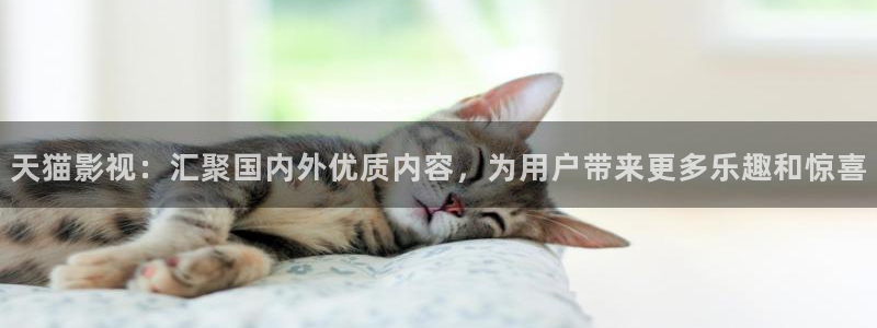 精东影业传媒app免费版：天猫影视：汇聚国内外优质内容，为用户带来更多乐趣和惊喜