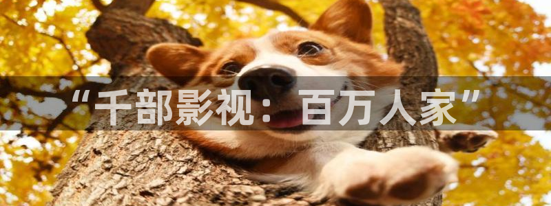 精东影业下载app：“千部影视：百万人家”