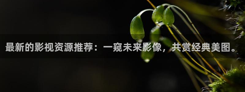《精东影业》免费观看：最新的影视资源推荐：一窥未来影像，共赏经典美图。