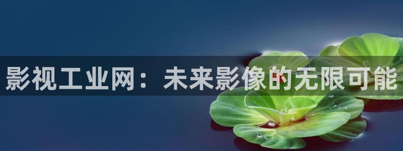 久久免费精品一区二区稀精东影业