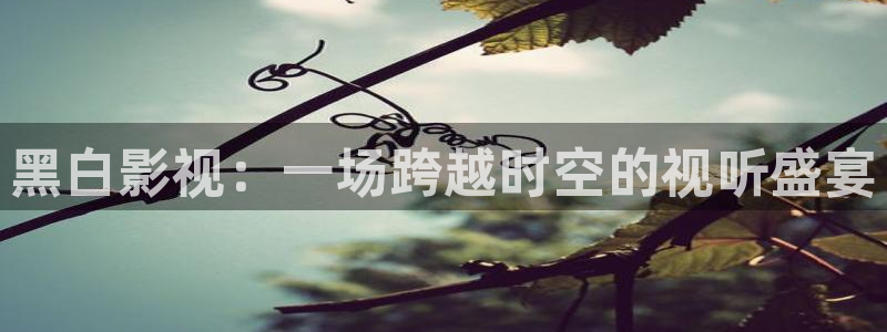 精东传媒电影：黑白影视：一场跨越时空的视听盛宴