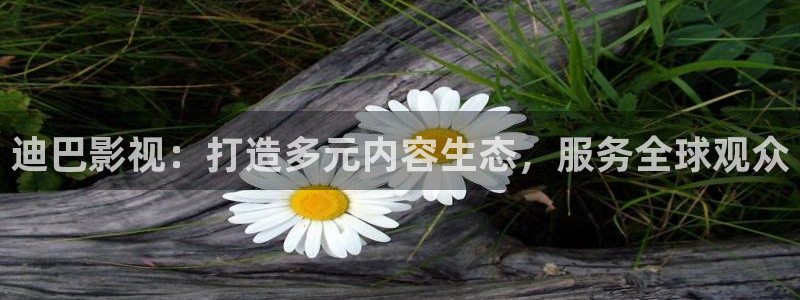 国产精东影业：迪巴影视：打造多元内容生态，服务全球观众