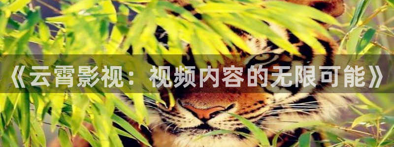91制片厂天美传媒精东影业