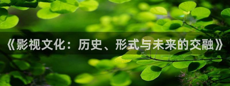 精东影业jdaⅴ1me：《影视文化：历史、形式与未来的交融》
