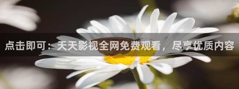 见精东影业35集